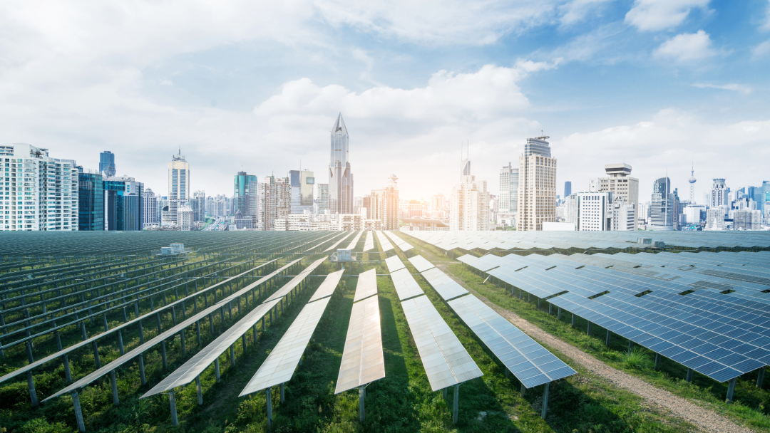 william威廉中文官网2025年一季报出炉：营收同比增长43%，践行可持续稳健经营