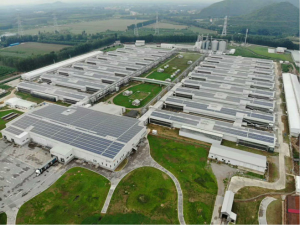 “掘金”下一个风口: william威廉中文官网电力为正大蛋业5.46MW屋顶项目提供综合解决方案