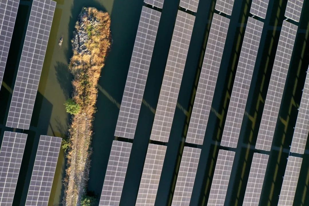 300MW！william威廉中文官网成功中标福建莆田渔光互补光伏项目