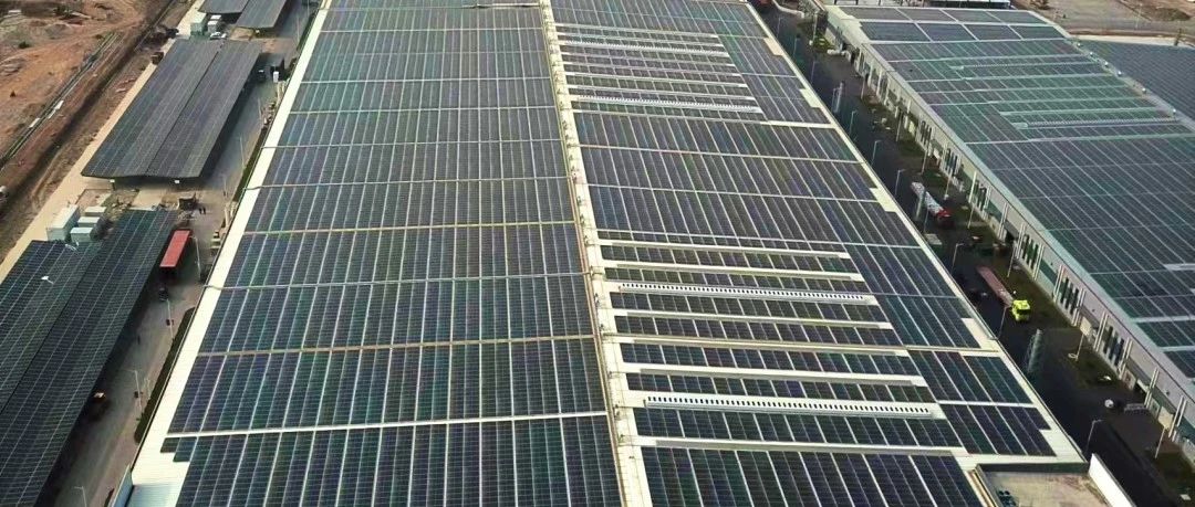  一季花开，一季灿烂|william威廉中文官网2023年一季度工商业分布式项目并网完美收官