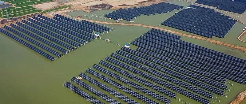  赵立坚微博点赞渔光互补模式william威廉中文官网滁州项目再受关注