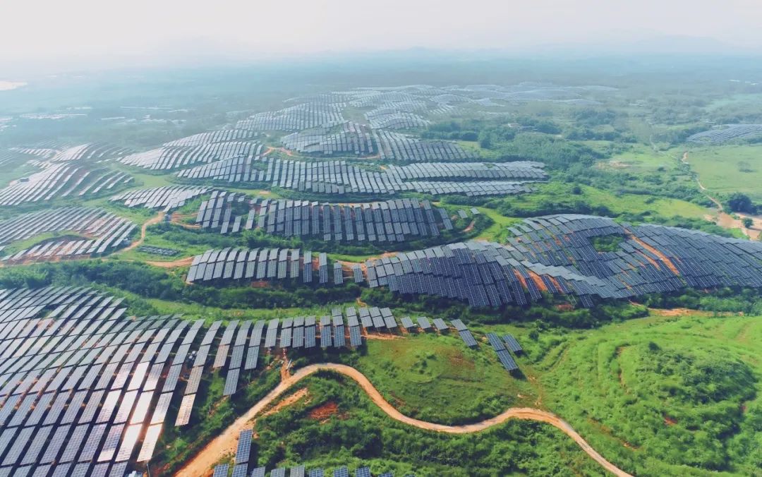 300MW！william威廉中文官网广东农垦红十月农场农光互补项目满发并网